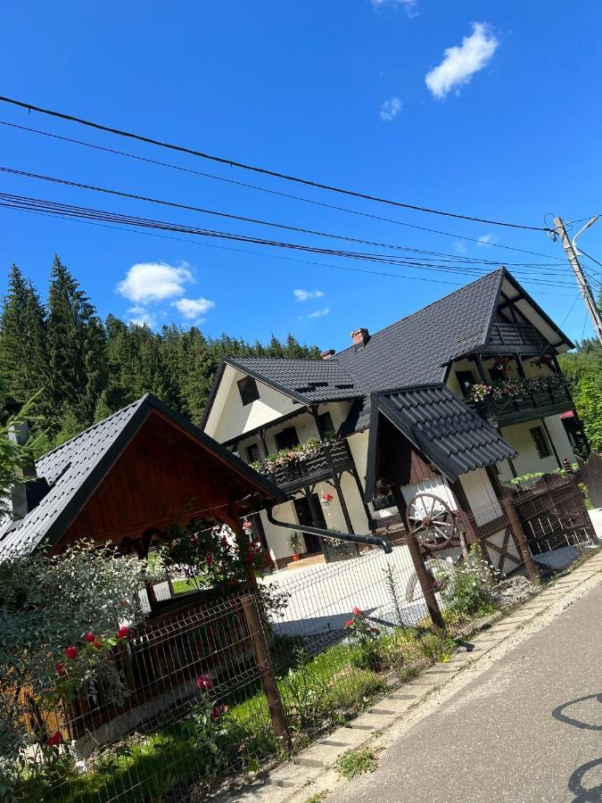 Casa Verginia Hotel Pojorîta Eksteriør billede